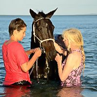 The Mozambique Horse Safari